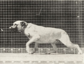 Plate 714 'Smith' aroused by a torpedo — figure reference